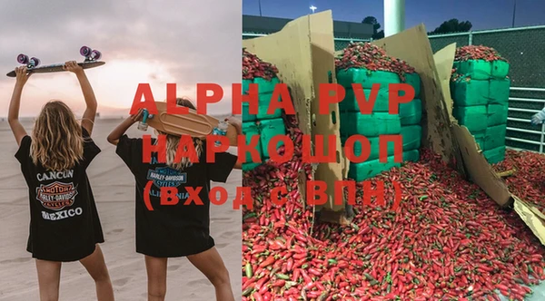 прущие грибы Волоколамск