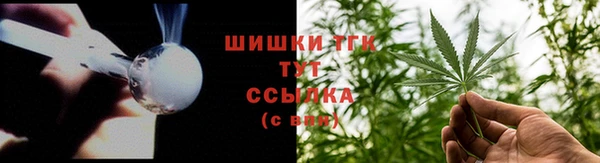 прущие грибы Волоколамск