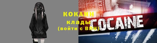 прущие грибы Волоколамск