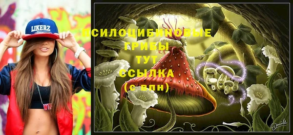 не бодяженный Верхний Тагил