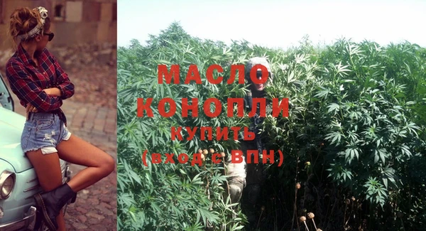 гашик Верея