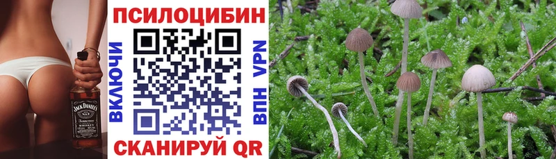 Псилоцибиновые грибы мицелий  где продают   Заозёрск 